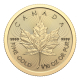 2024 1/10 OZ CANADIAN GOLD MAPLE LEAF