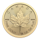 2024 1/4 OZ CANADIAN GOLD MAPLE LEAF