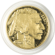 1 OZ AMERICAN GOLD BUFFALO PROOF (CAPSULE ONLY)