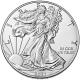 2021 American Silver Eagle Type 1